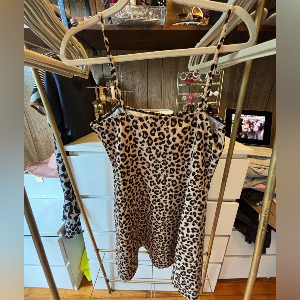 Cheetah Skater Dress